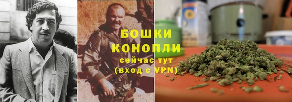 метадон Новодвинск