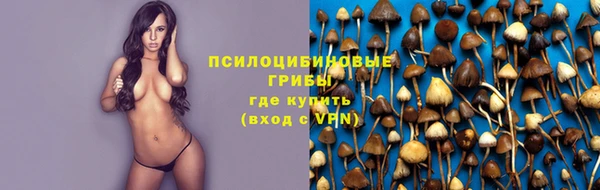 гашиш Новокубанск