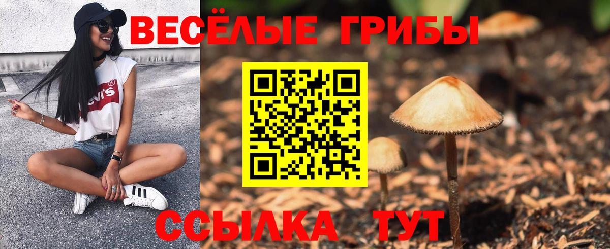 Псилоцибиновые грибы GOLDEN TEACHER  Вход с VPN  Луховицы 