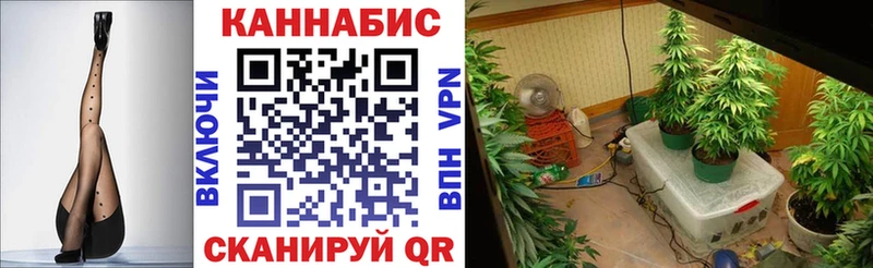 Бошки марихуана ГИДРОПОН  Луховицы 